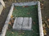 image of grave number 185803